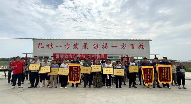 “麦王”争霸，水肥“称王”！冠军的“丰收密码”竟是它