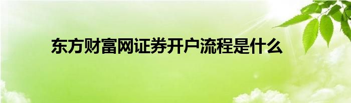 证券证是什么(证券是什么证书)