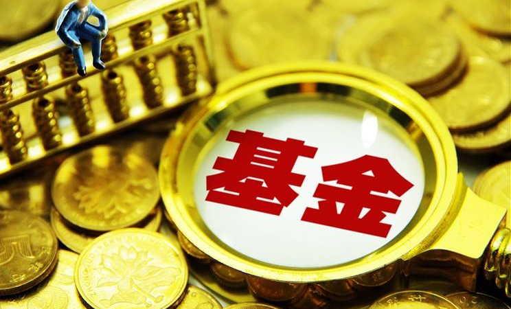 衍生证券基金(衍生证券基金中期权和基金区别是什么)