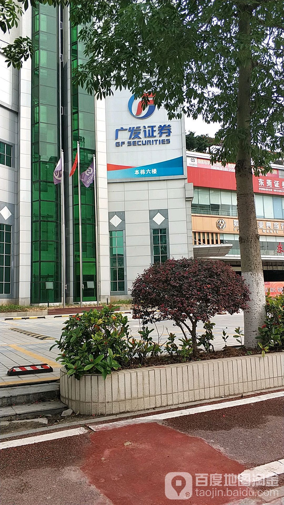 东莞证券营业部(东莞证券营业部怎么样)
