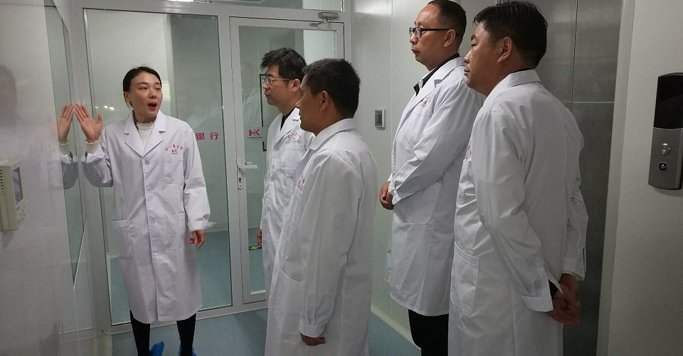 文义证券(文义证券怎么理解)
